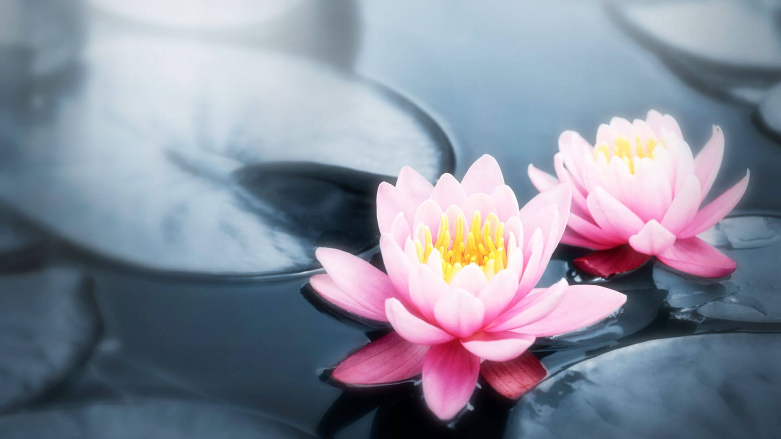 Meditación Kundalini